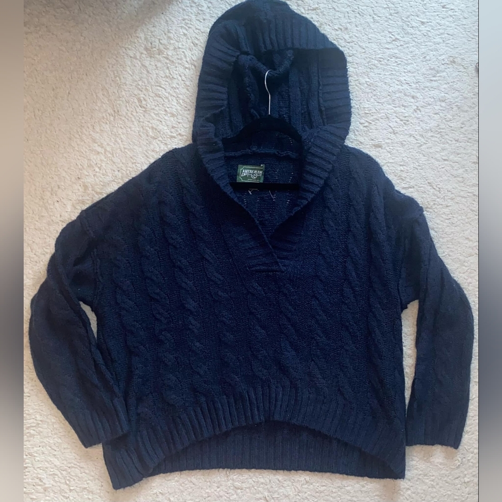 American eagle hooded sweater